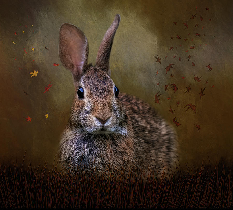 Autumn Bunny by Kelley Parker Autumn Bunny by Kelley Parker