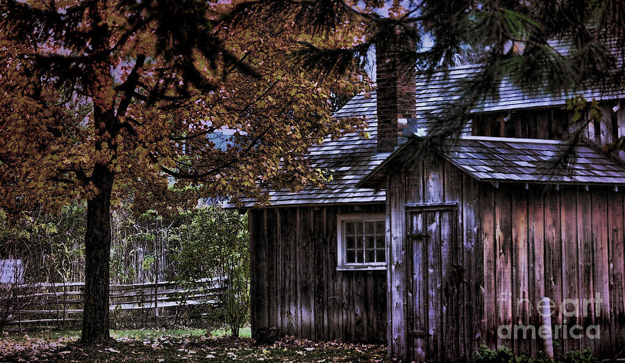 Autumn Cabin Photograph by Elaine Manley