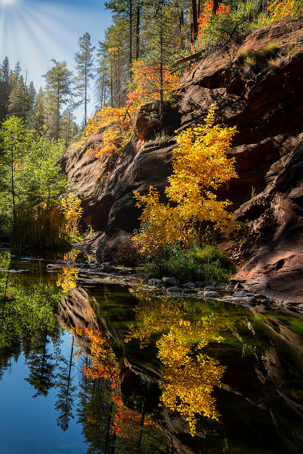 Autumn Call Of The Canyon  Photograph by Saija Lehtonen