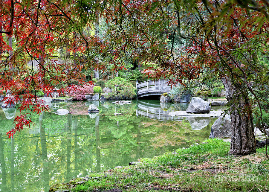 Autumn Calm in Manito Park  Photograph by Carol Groenen