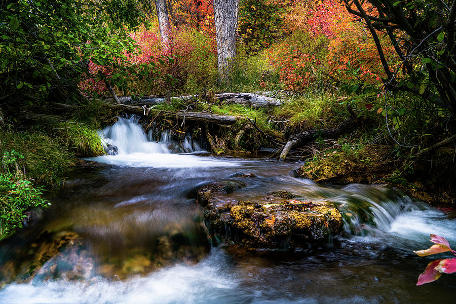 Autumn Cascades by TL Mair Autumn Cascades by TL Mair