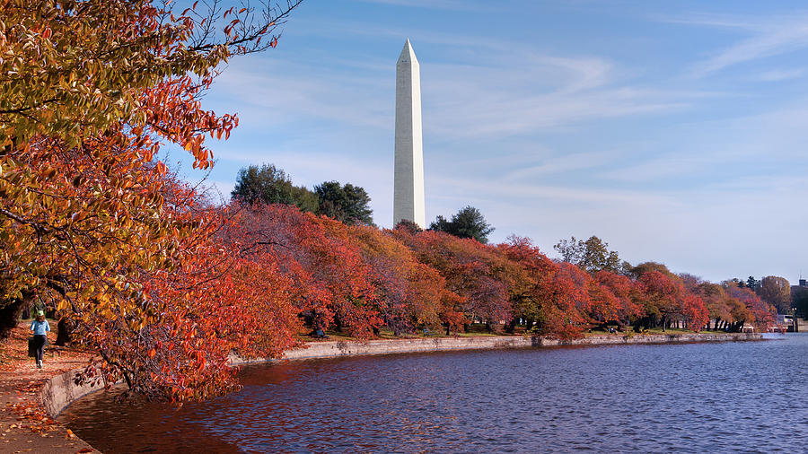 Autumn Cherry Trees, Washington, D.C. Photograph by Todd Henson