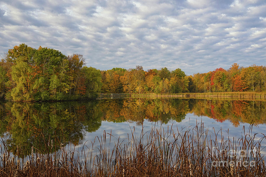 Autumn Clarity Photograph by Rachel Cohen