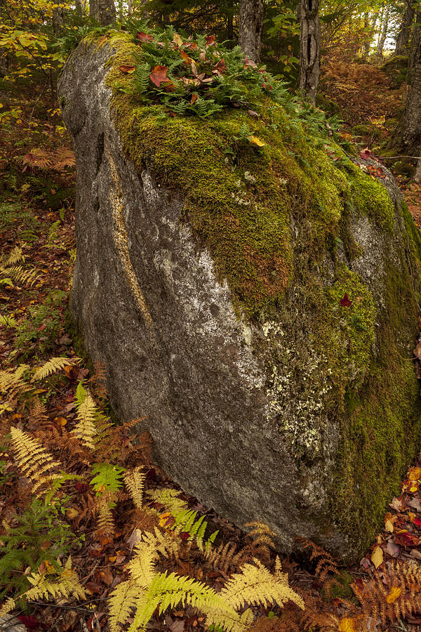Autumn Cloaked Rock  Photograph by Irwin Barrett
