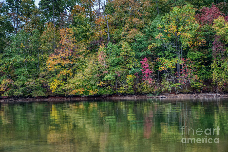 Autumn Color at Lake Norman State Park Photograph by Amy Dundon