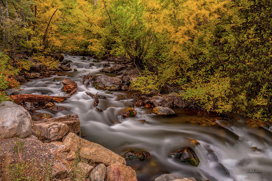 Autumn Color Photograph by David Simpson