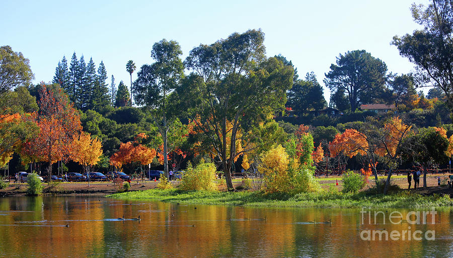 Autumn Color Surround Vasona Lake Los Gatos California  Photograph by Chuck Kuhn