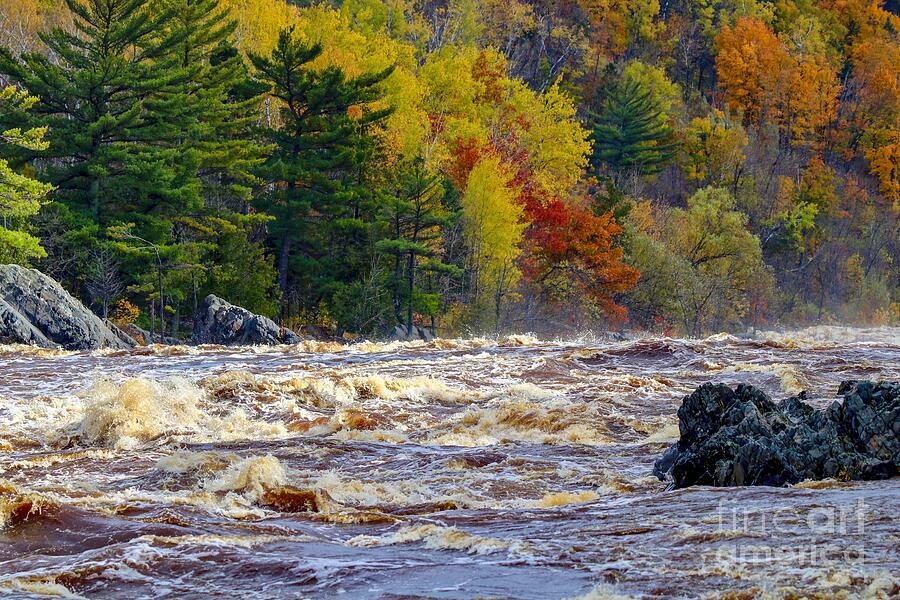 Autumn Colors and Rushing Rapids   Photograph by Susan Rydberg