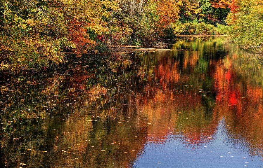 Autumn Colors Photograph by Cordia Murphy