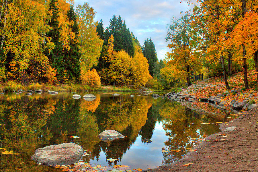 Autumn Colors Photograph by Fintrvlr