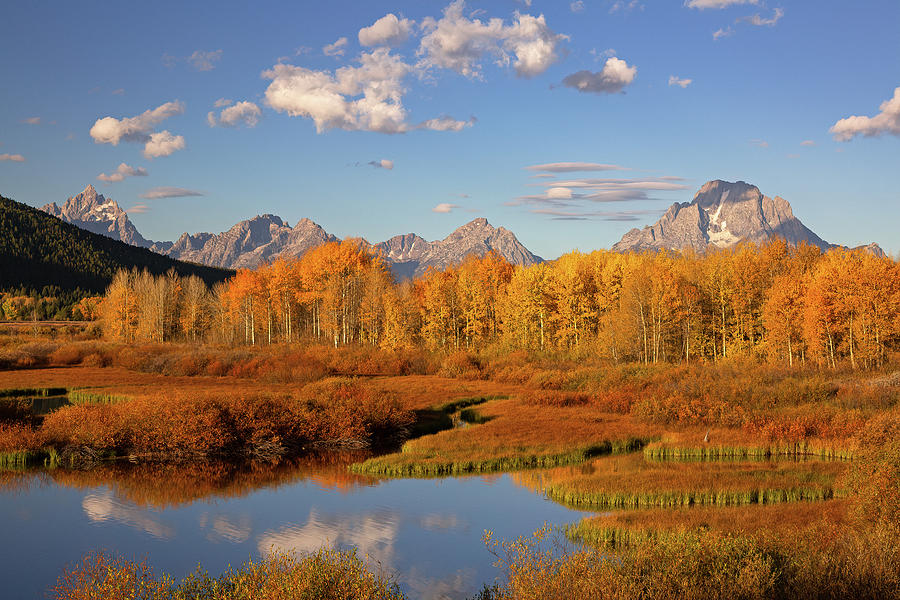 Autumn Colors in Grand Teton National Park Photograph by Jack Bell ...