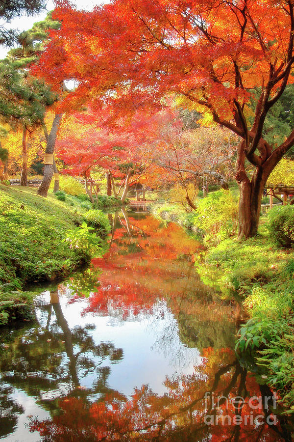 Autumn colors in Japan Photograph by Delphimages Photo Creations