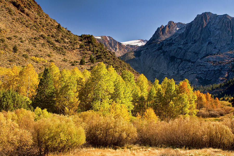 Autumn colors in the Sierra Nevada Mountains Photograph by Waterdancer
