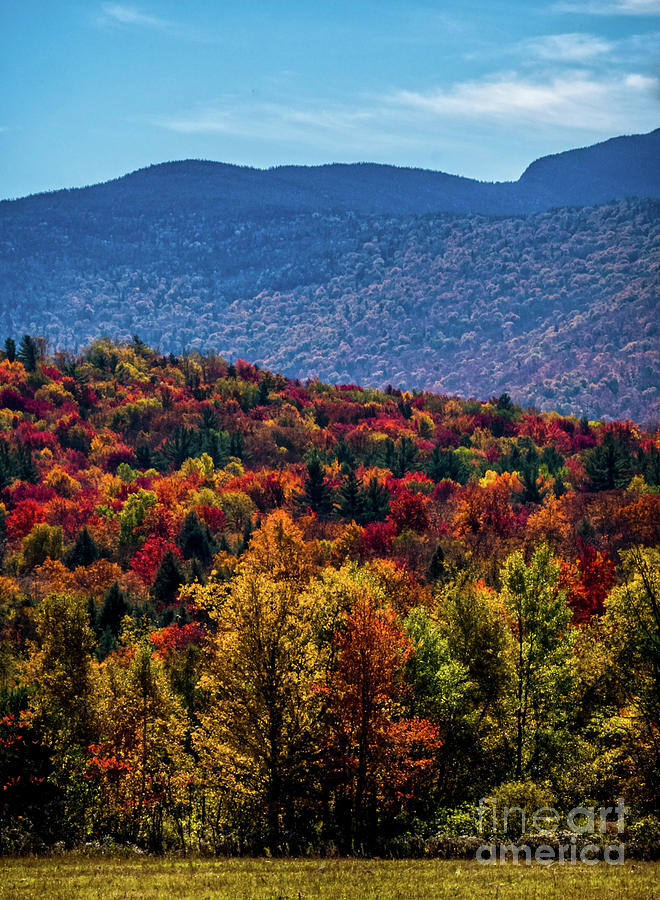 Autumn Colors Photograph by James Aiken