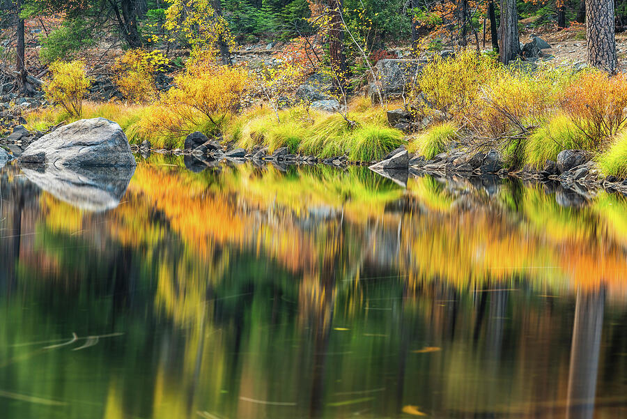 Autumn Colors Reflect On A Calm River In Yosemite National Np Forest. Photograph by Cavan Images / Sulbha Autumn Colors Reflect On A Calm River In Yosemite National Np Forest. Photograph by Cavan Images / Sulbha