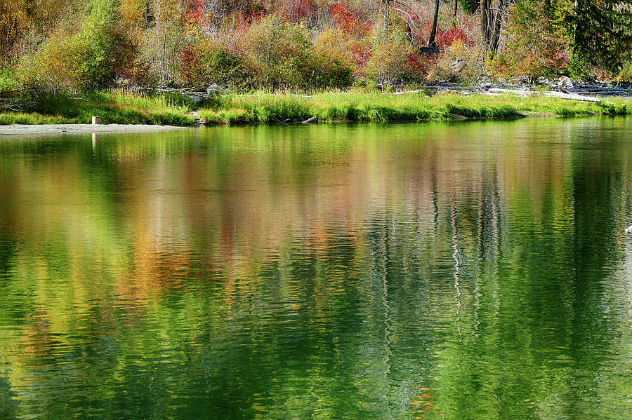 Autumn colors reflected in the Wenatchee River Photograph by Steve Estvanik