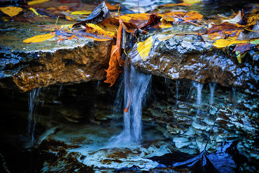 Autumn Colors Photograph by Scott Meyer