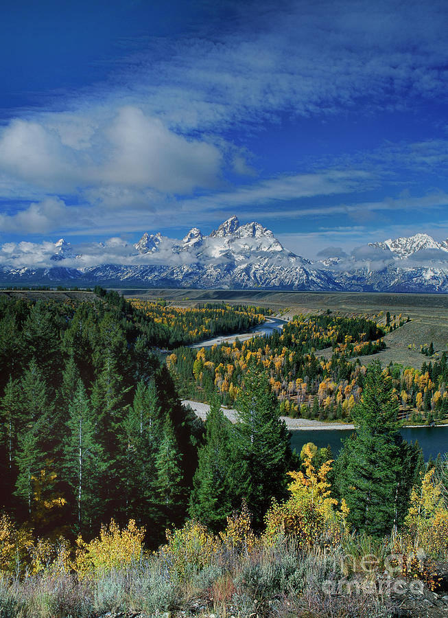 autumn colors snake river overlook grand tetons national park wyoming by Dave Welling autumn colors snake river overlook grand tetons national park wyoming by Dave Welling