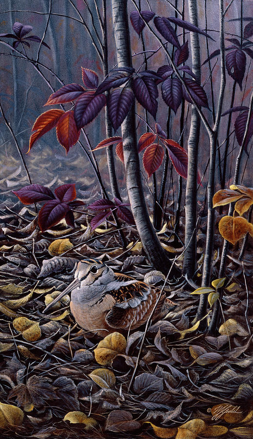 Bird Painting - Autumn Colors- Woodcock by Wilhelm Goebel