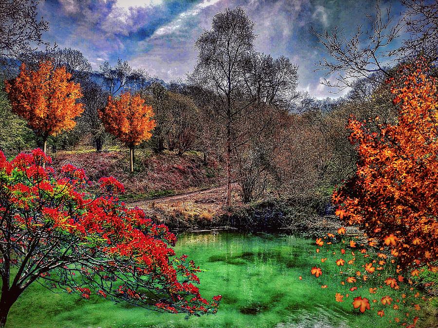 Autumn Colour Photograph