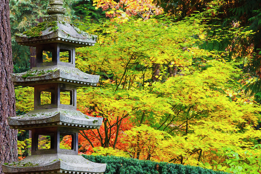 Autumn Colours At The Japanese Garden Photograph by Craig Tuttle / Design Pics