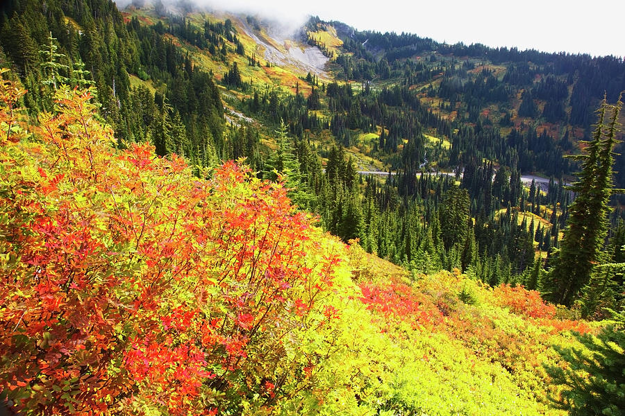 Autumn Colours On Mount Rainier, In Mt Photograph by Craig Tuttle / Design Pics