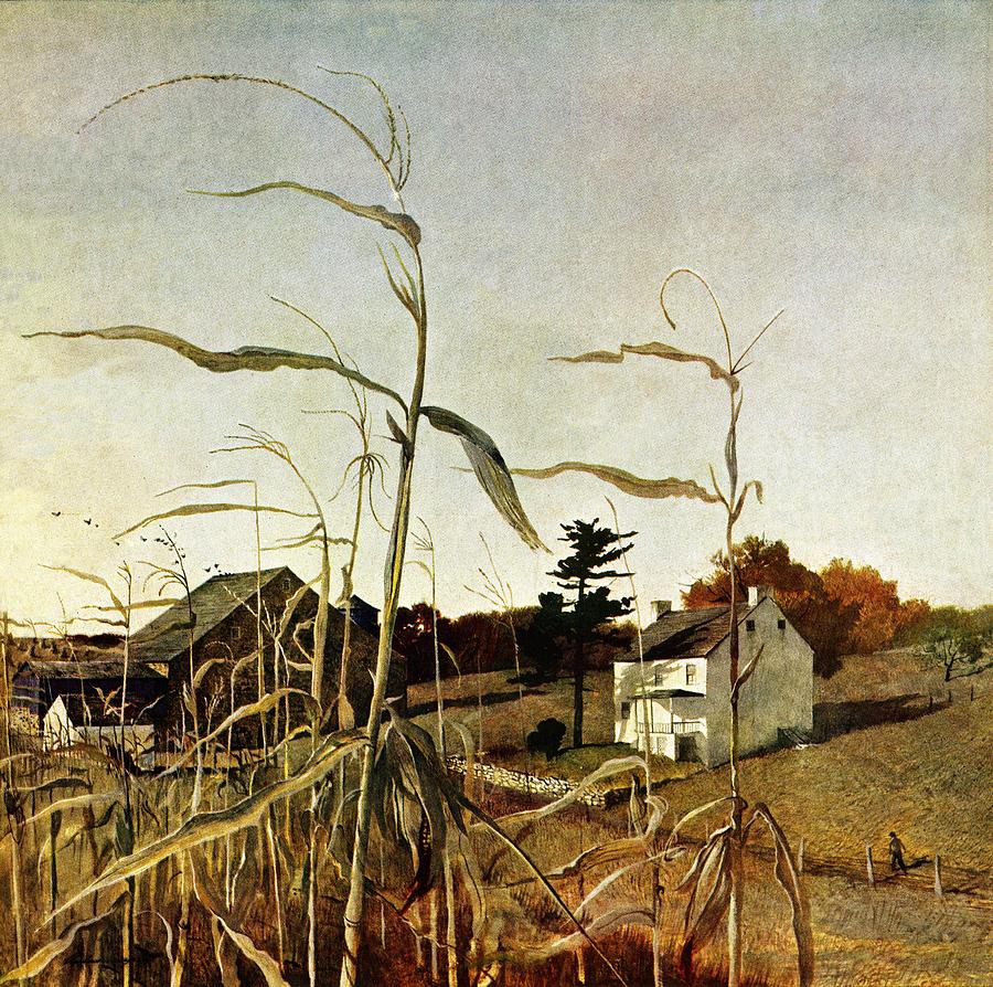 Autumn Cornfield Drawing by Andrew Wyeth
