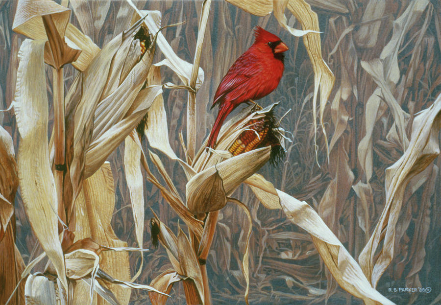 Autumn Cornfield - Cardinal Painting by Ron Parker