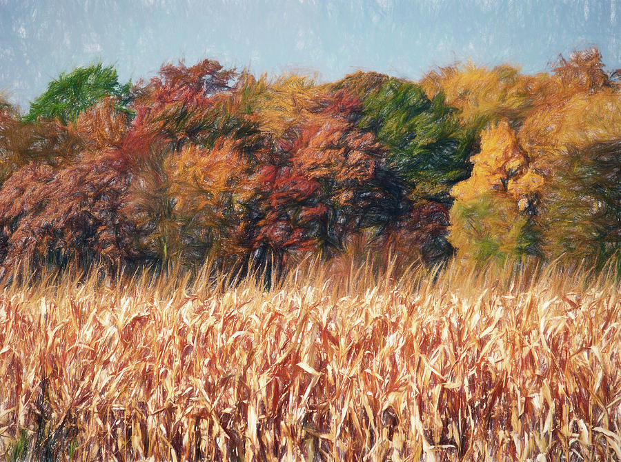 Autumn Cornfield Digital Art by Don Northup