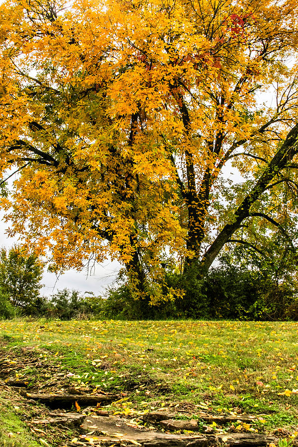 Autumn Country Photograph by CarolLMiller Photography