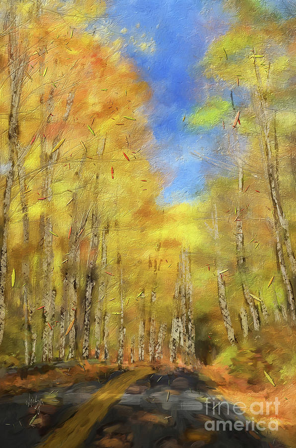 Autumn Country Road Digital Art by Lois Bryan