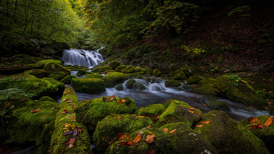 Autumn Creek Photograph by Bor