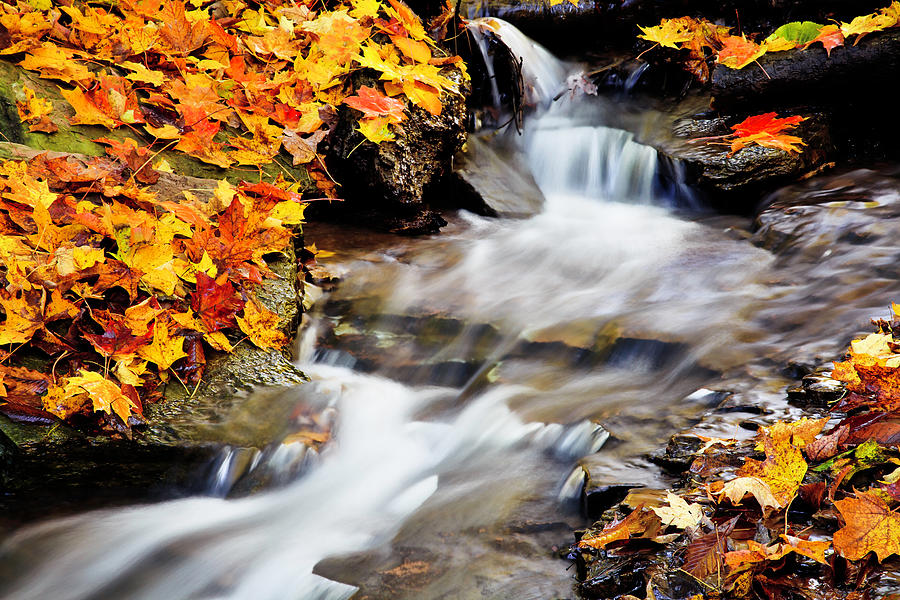 Autumn Creek Photograph by Kamil Swiatek