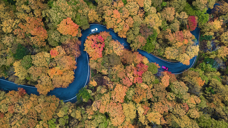 Fall Photograph - Autumn Curve by Jie Jin