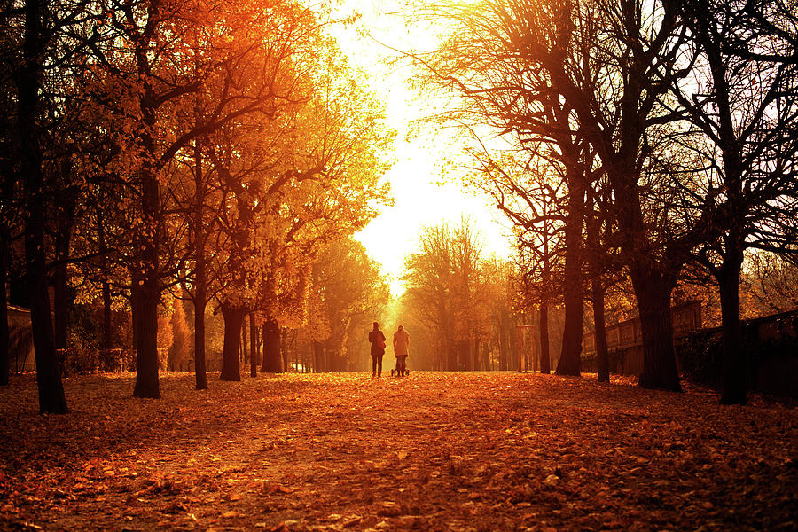 Autumn Day In Schonbrunn Park Photograph by Aleksandarnakic