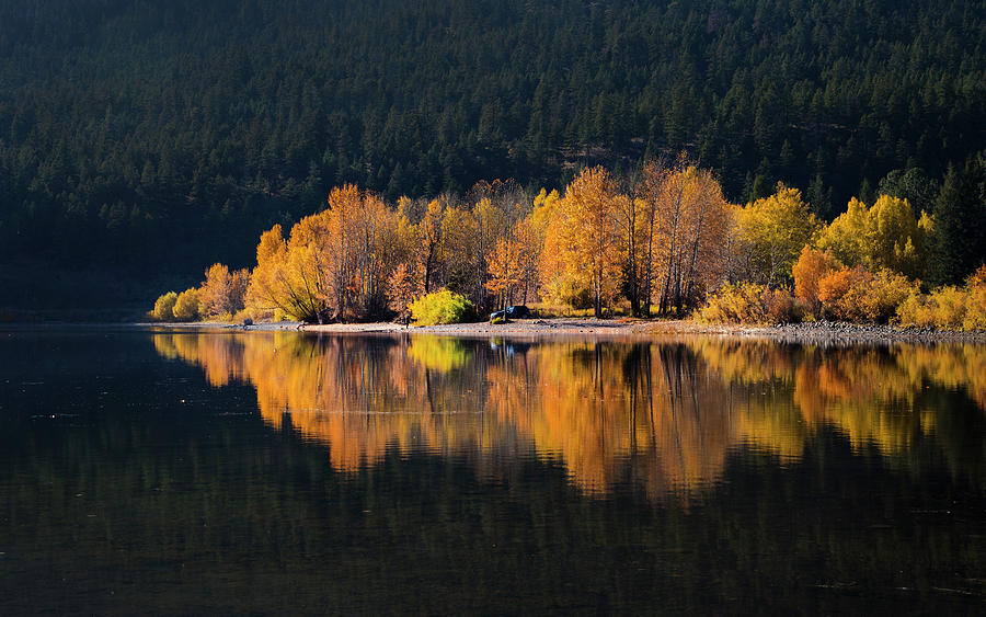 Autumn Days Photograph by Theresa Tahara