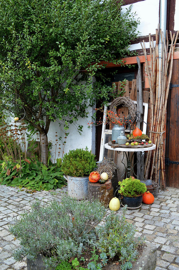 Autumn Decoration In The Courtyard With Pumpkin, Rose Hips, Hop Tendril And Chestnuts Photograph by Christin By Hof 9