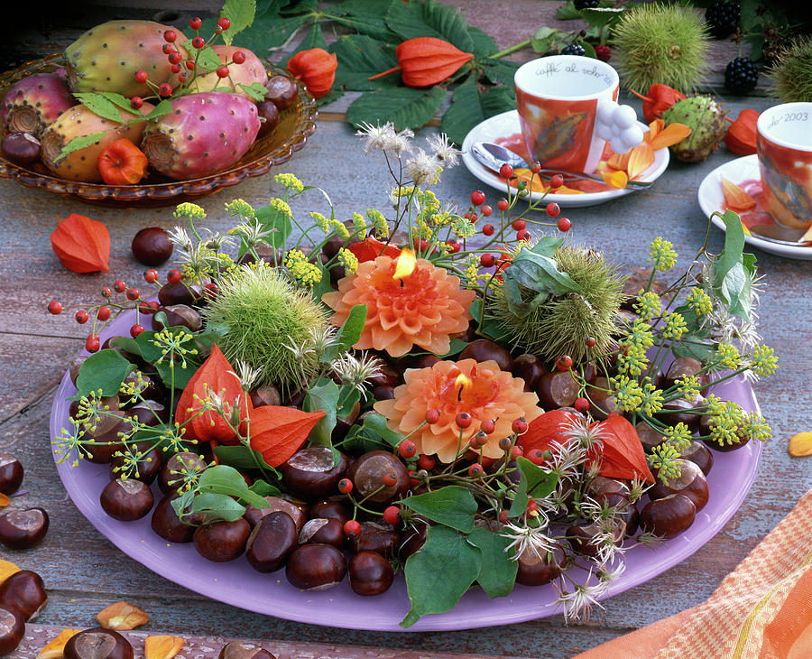 Autumn Decoration With Berries And Fruits Photograph by Friedrich Strauss