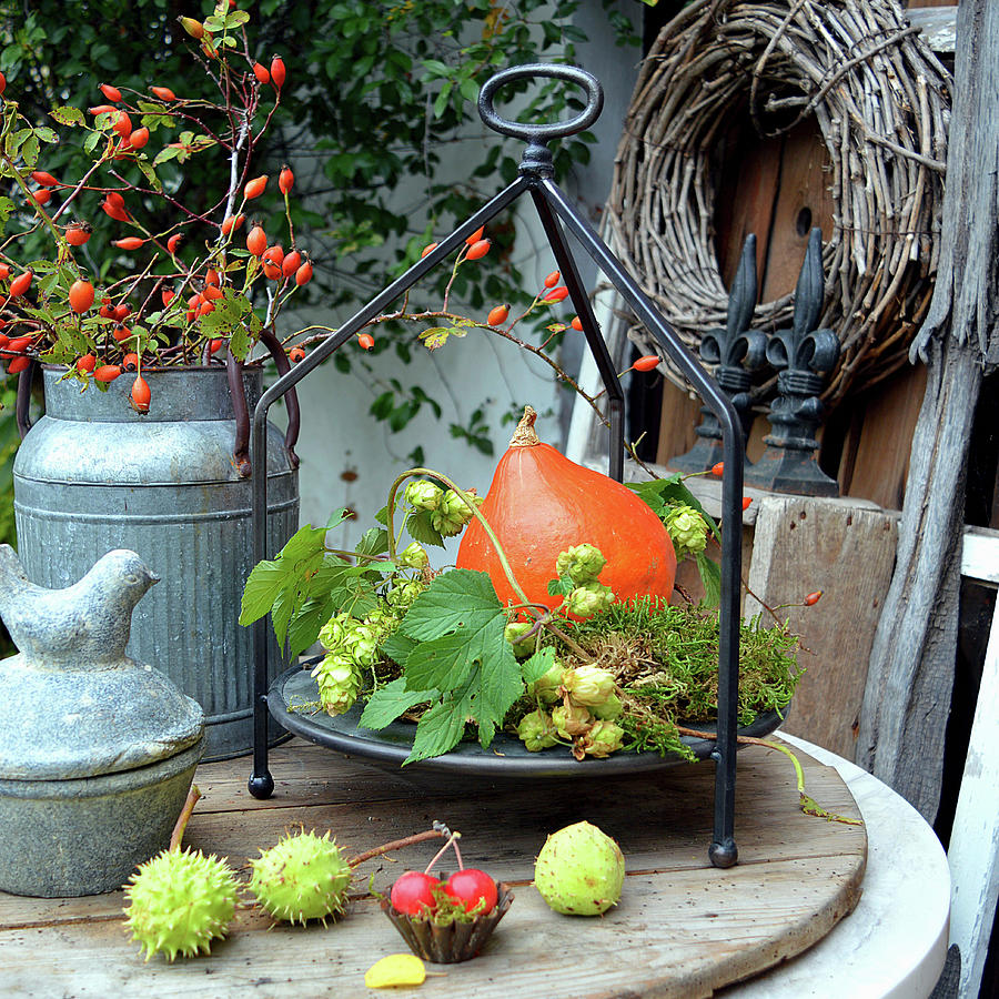 Autumn Decoration With Pumpkin, Rose Hips, Hop Vine And Chestnuts Photograph by Christin By Hof 9