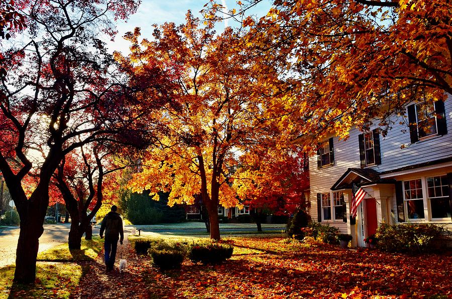 Fall Photograph - Autumn Dog Walk by Dana Hardy