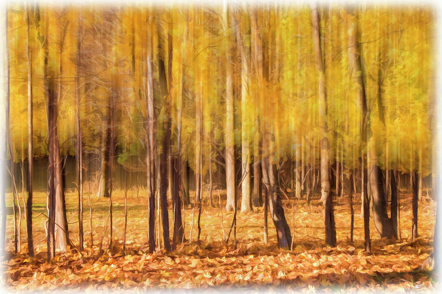 Autumn Dreaming Photograph by Cathy Kovarik