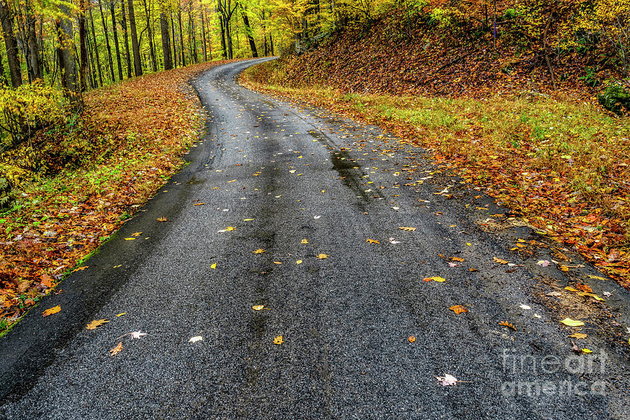 Autumn Drive Country Road Photograph by Thomas R Fletcher