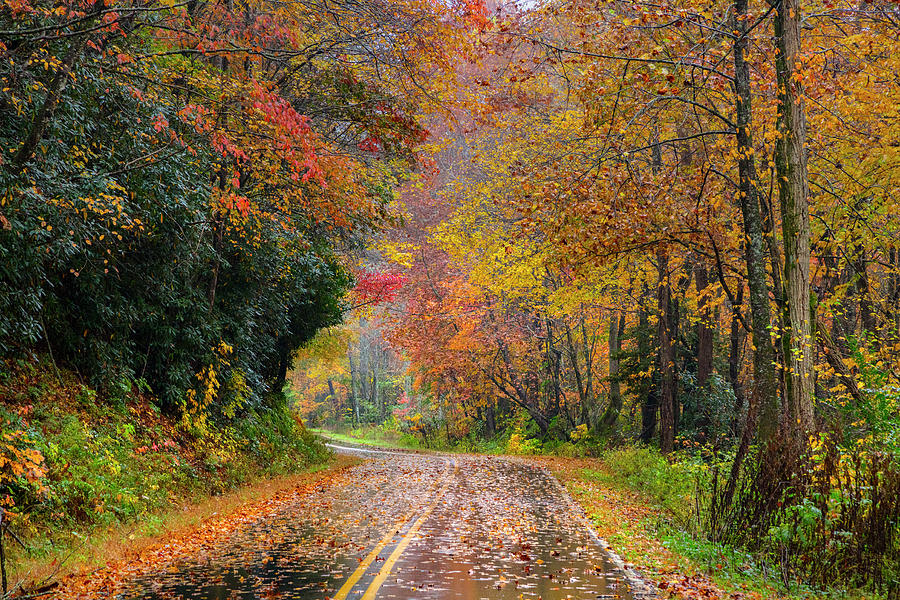 Autumn Drive Photograph by Debra and Dave Vanderlaan