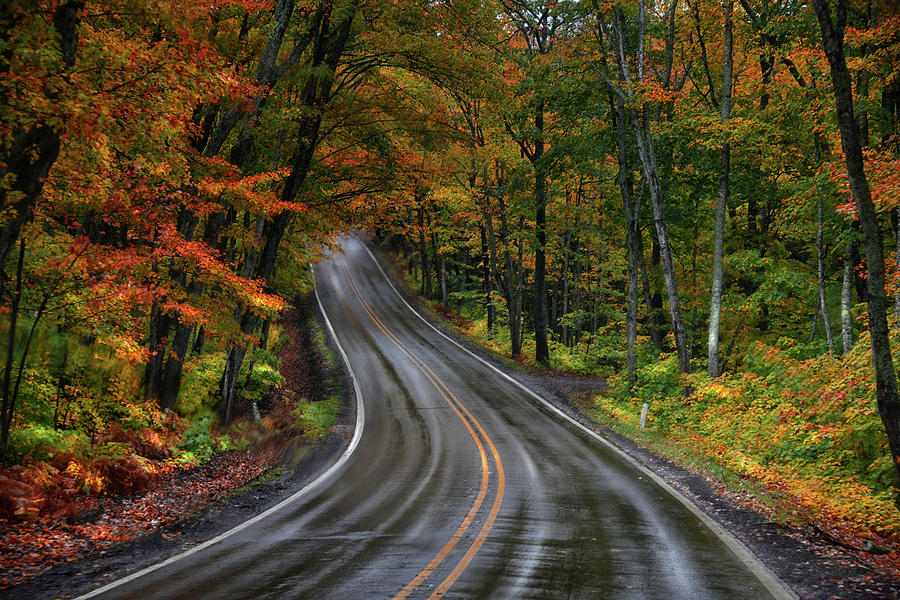Autumn Drive In Michigan Photograph by Barbara Treaster