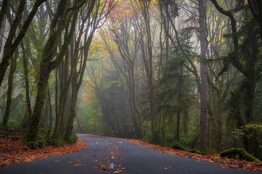 Autumn Drive Photograph by Ken Stanback