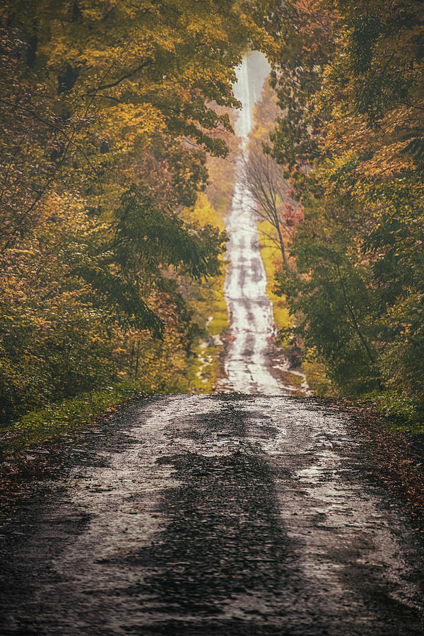 Autumn Drive Photograph by Robert Fawcett