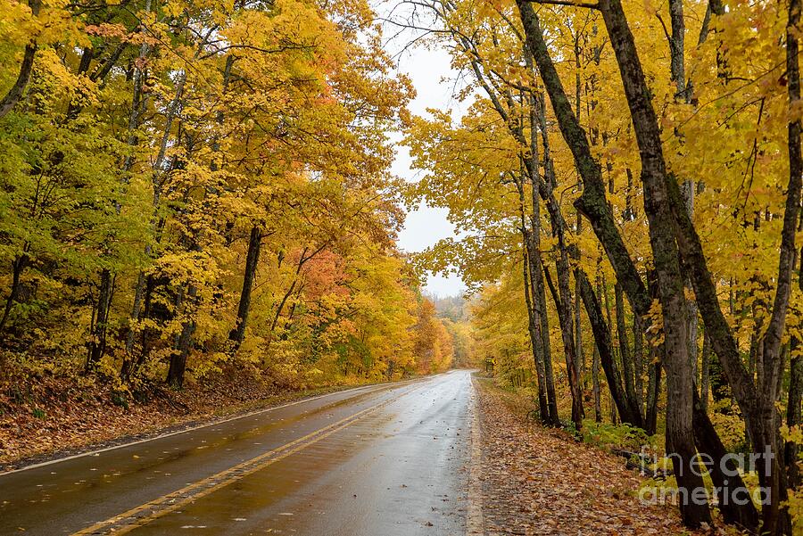 Autumn Drive Photograph by Susan Rydberg