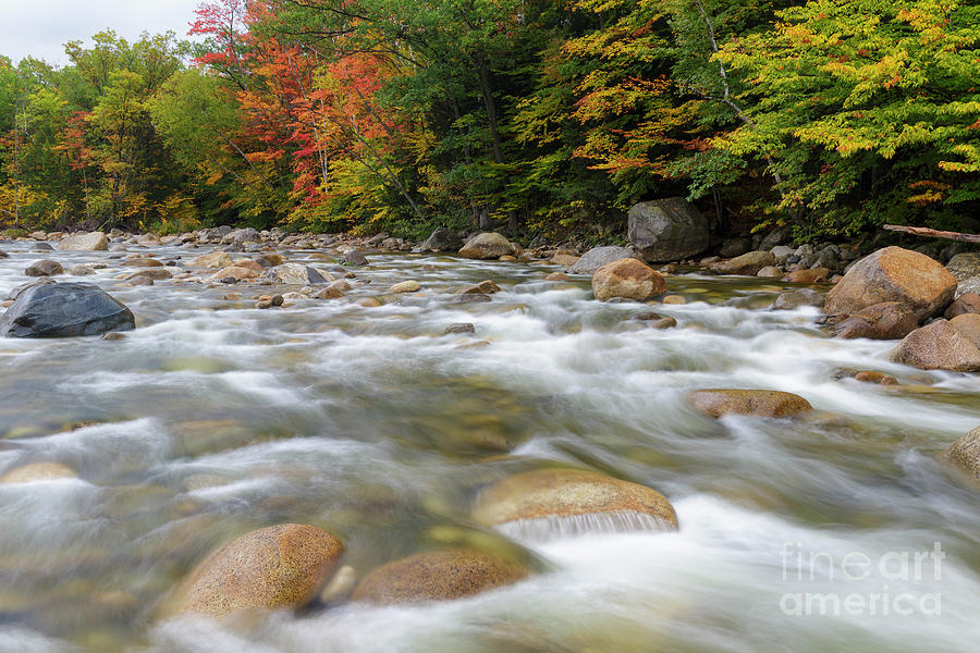 Autumn - East Branch of the Pemigewasset River, New Hampshire Photograph by Erin Paul Donovan