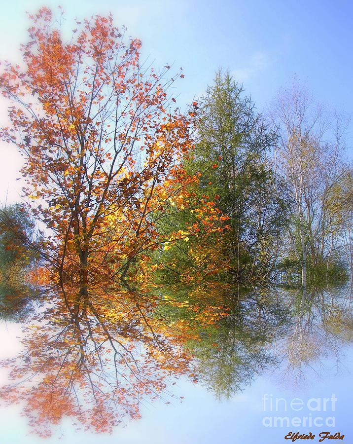 Autumn Photograph by Elfriede Fulda