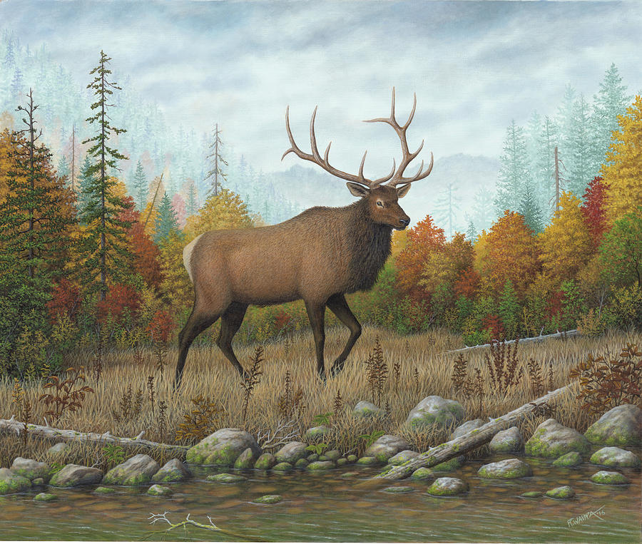 Autumn Elk Painting